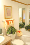 Luxurious Bathrooms