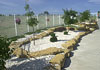Landscaped paths