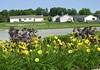 Landscaped Grounds